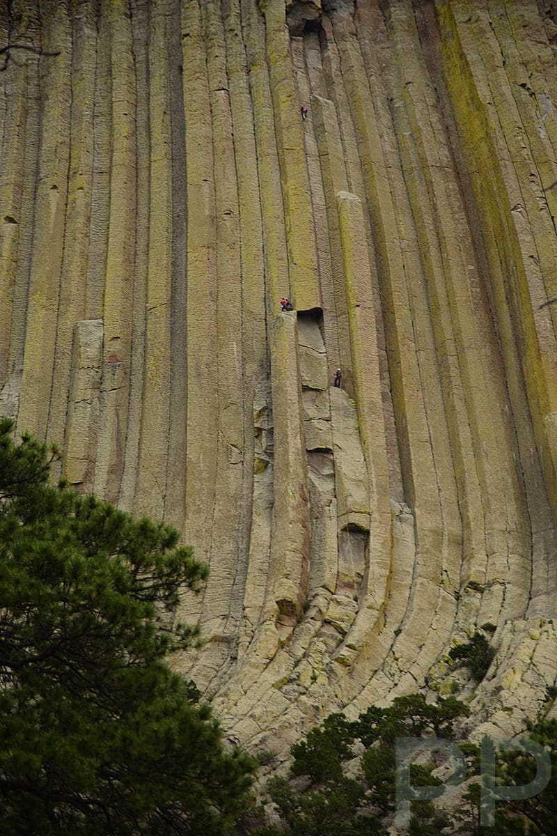 Climbers scaling the columned rock face of Devils Tower