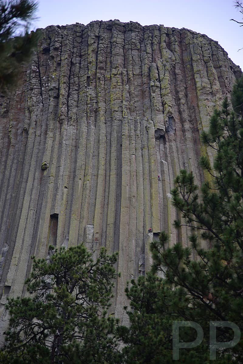 Close view of the hexagonal rock columns at Devils Tower National Monument