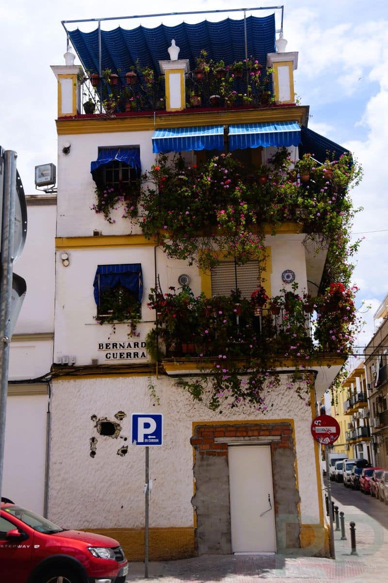 Flowers and colorful buildings in the Triana neighborhood of Seville
