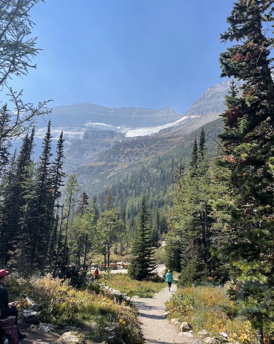 Alpine mountain views seen from hiking trail in Banff National Park
