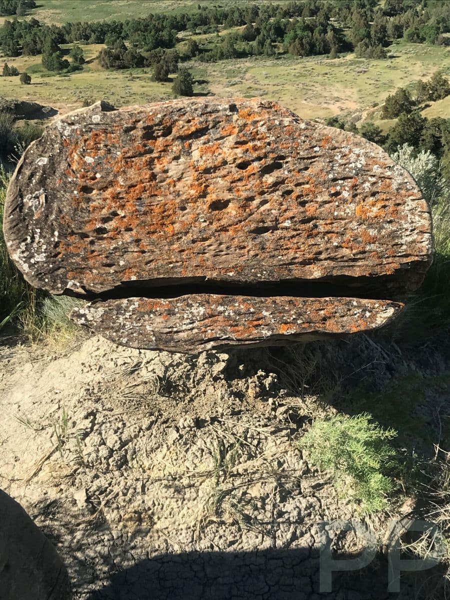 Piece of petrified wood resting among badlands terrain in Theodore Roosevelt National Park