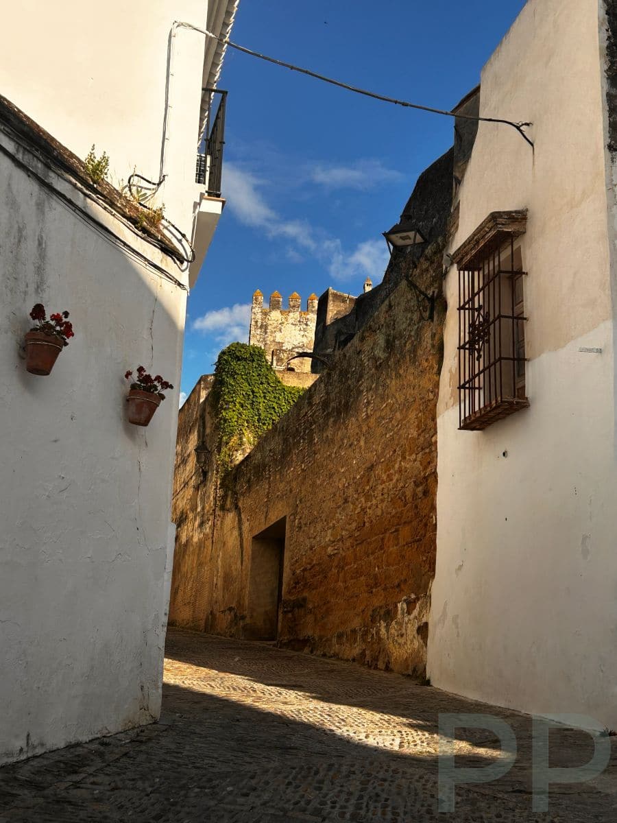 Whitewashed streets and steep lanes in Arcos de la Frontera.