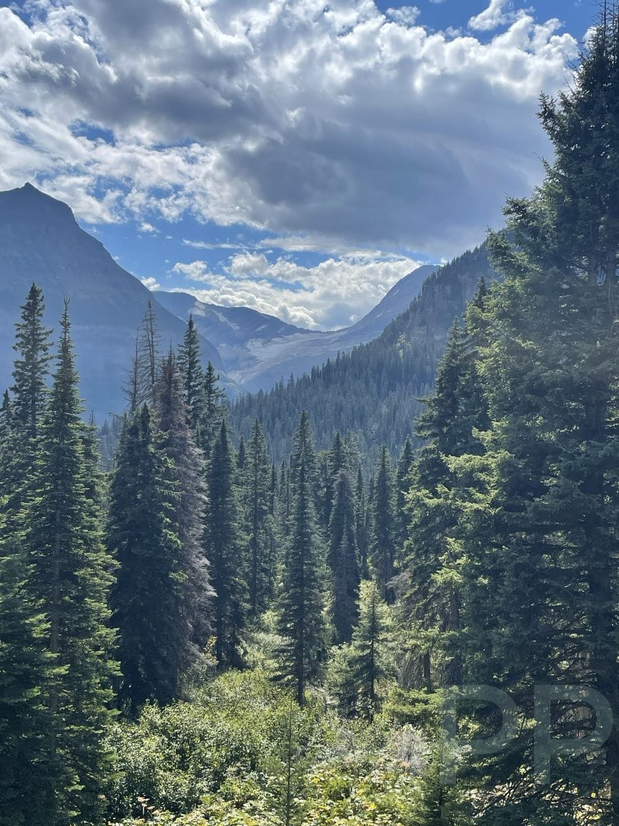 Jackson Glacier visible between mountain peaks above evergreen forest from the Jackson Glacier Overlook in Glacier National Park