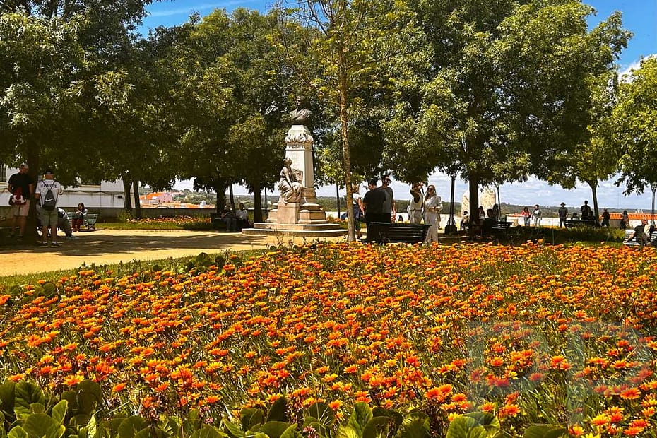 Bright orange flowers in Jardim Diana in Évora with a statue and groups of people enjoying the shade of large trees.