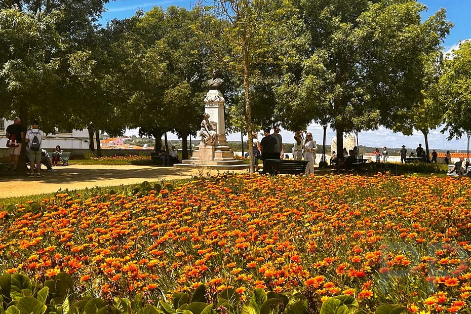 Bright orange flowers in Jardim Diana in Évora with a statue and groups of people enjoying the shade of large trees.