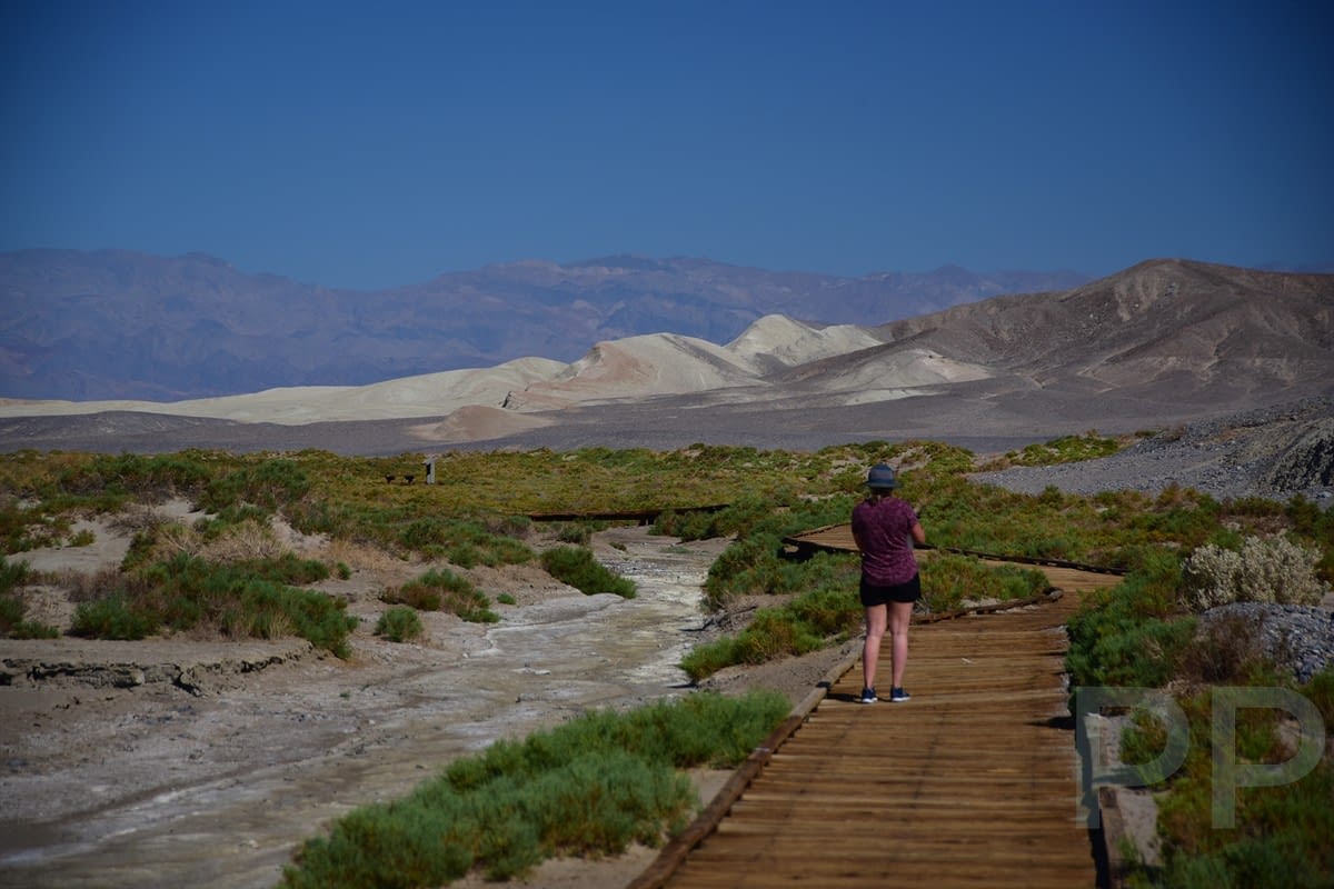View from Salt Creek Interpretitive Trail